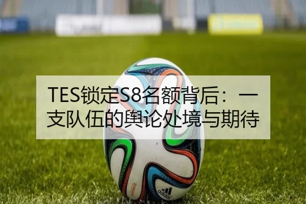 TES锁定S8名额背后：一支队伍的舆论处境与期待